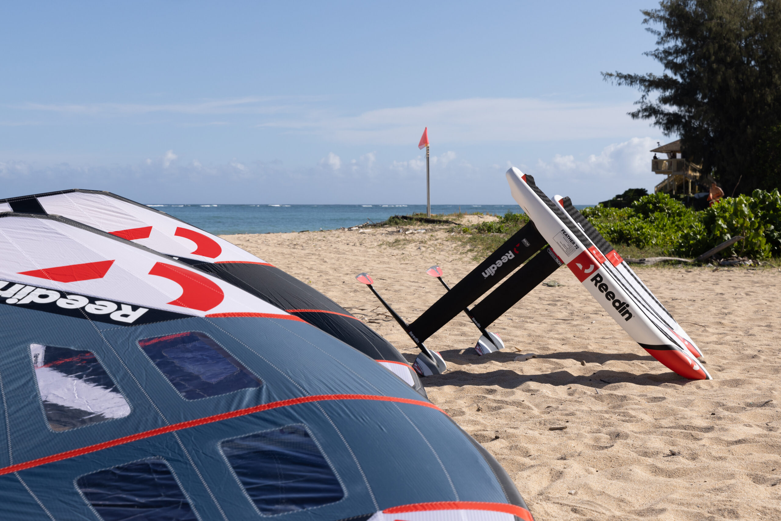 REEDIN SUPERNATURAL SSD 2023 - Image 9