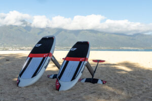 FLIGHT ATTENDANT 2025