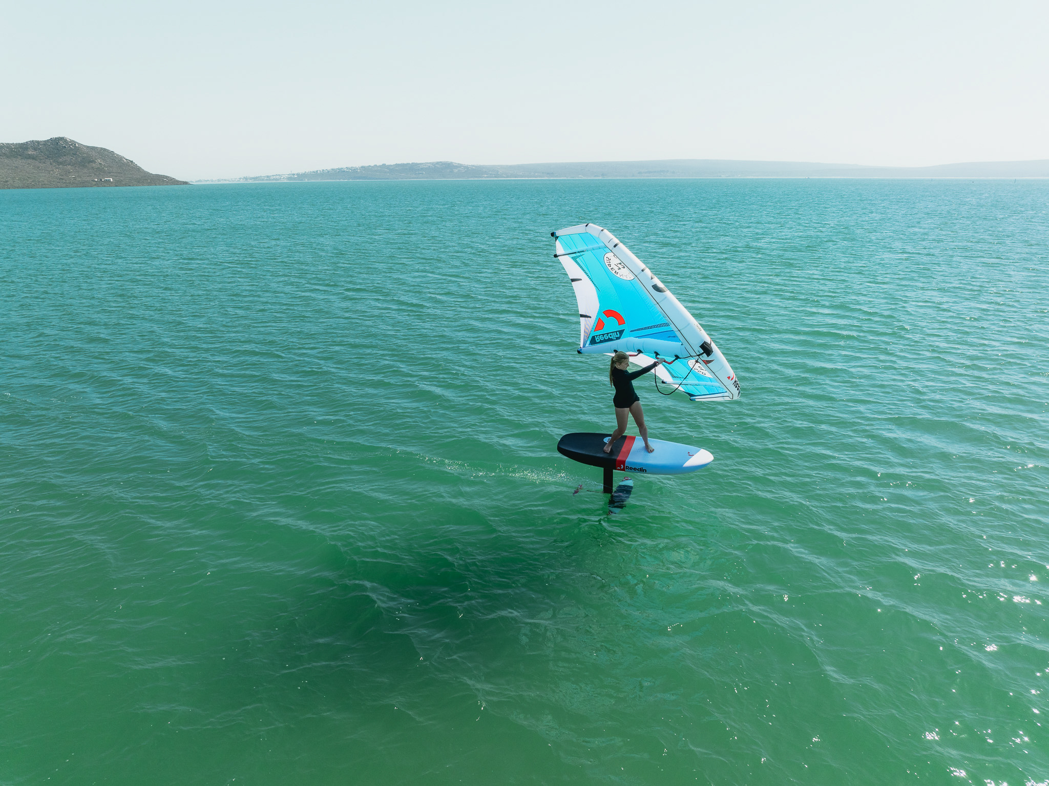 FEATHER S 2024 - Image 7