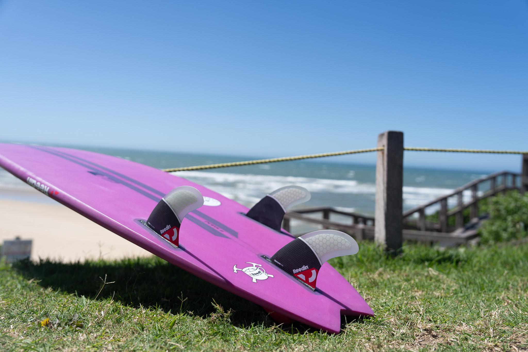 REEDIN SUPERWAVE 2025 - Image 2