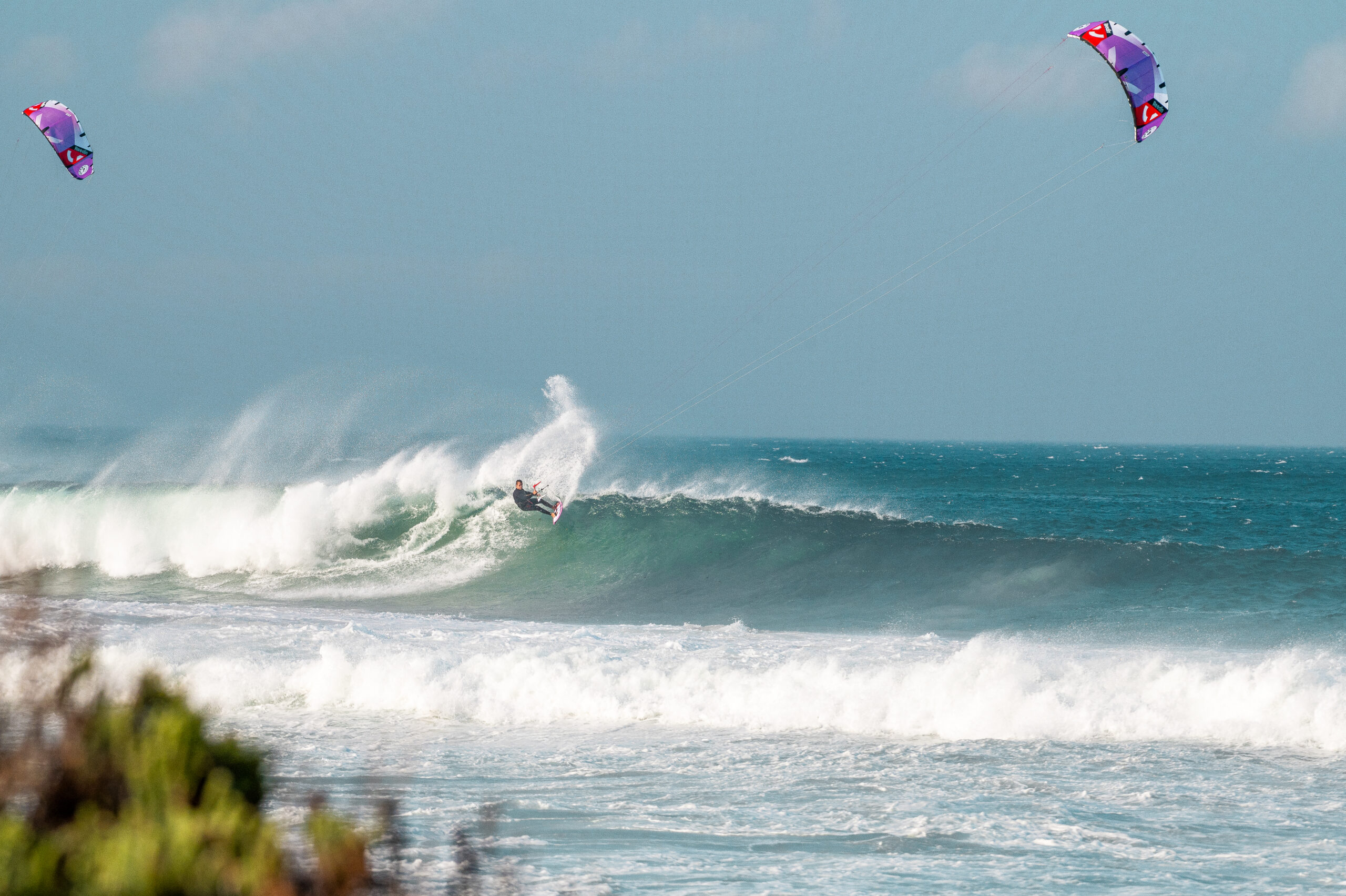 REEDIN SUPERWAVE 2025 - Image 6