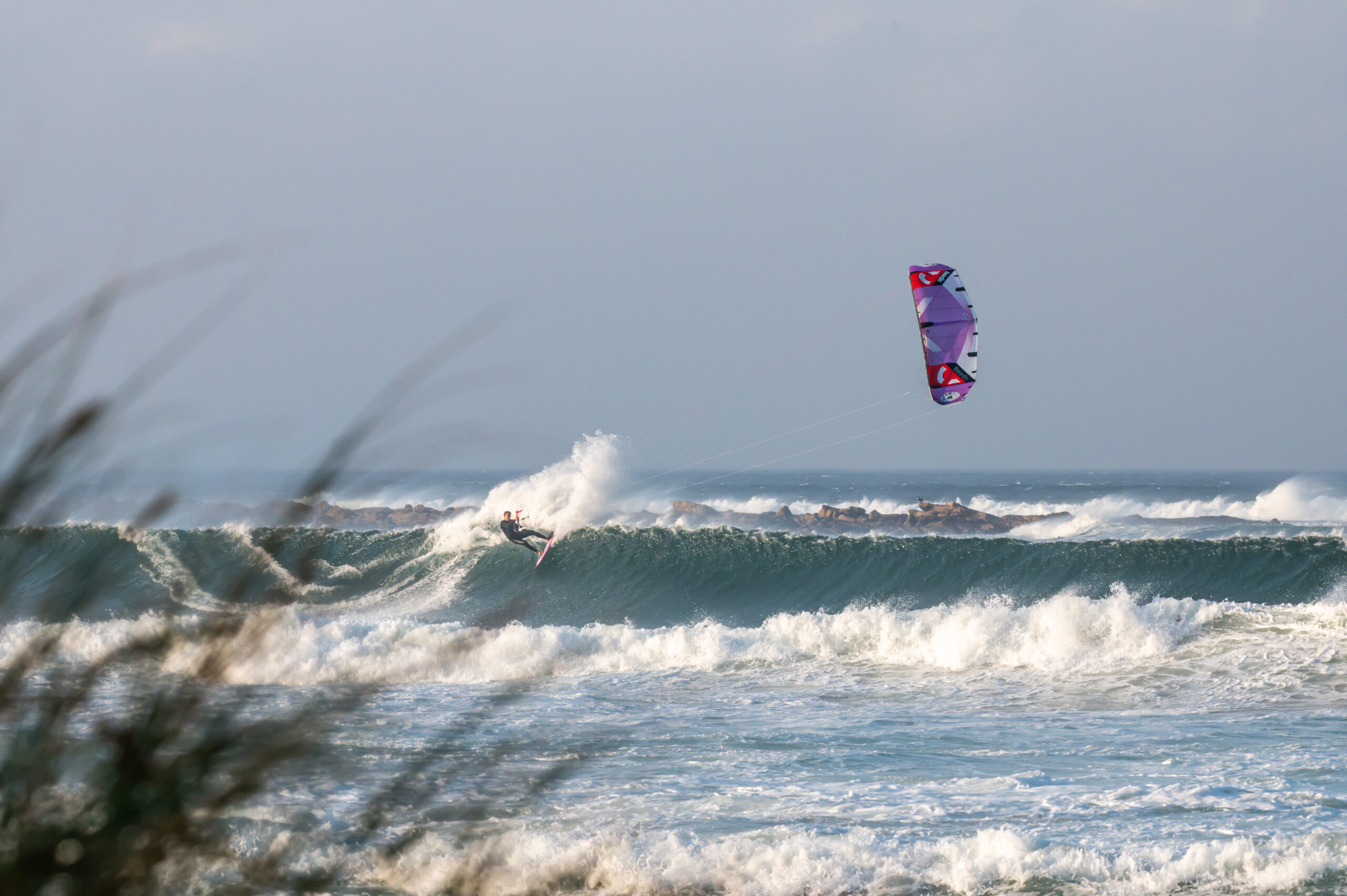 REEDIN SUPERWAVE 2025 - Image 8