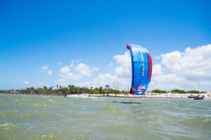 REEDIN HyperModel 2025