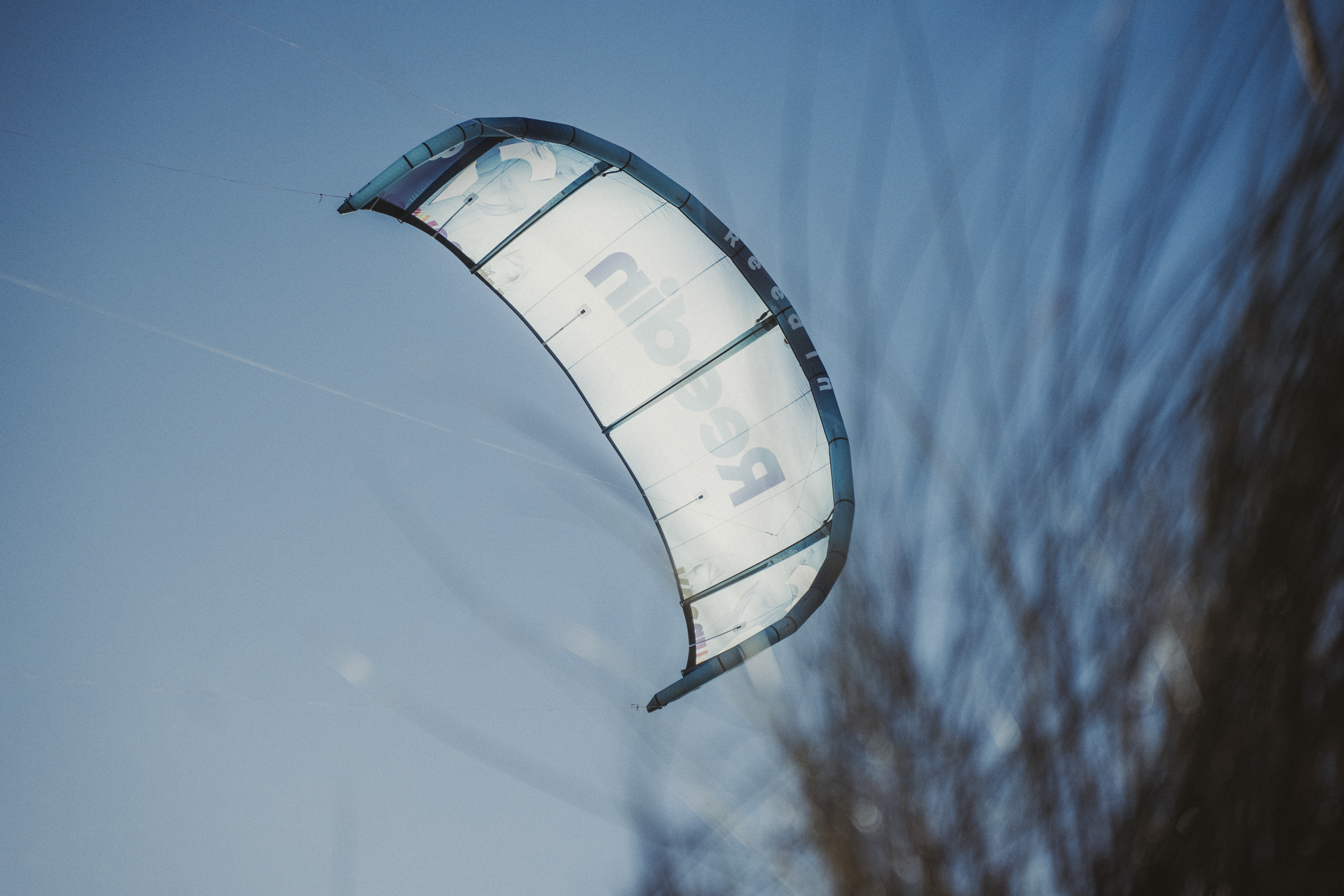 REEDIN MASTERMODEL 2026 used - Image 10