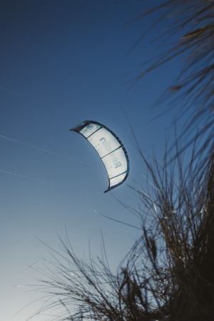 REEDIN MASTERMODEL 2026