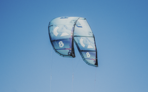 REEDIN MASTERMODEL 2026