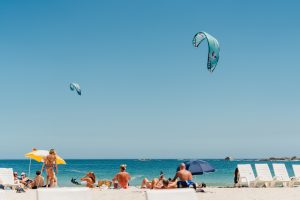 REEDIN WHISPERMODEL 2026