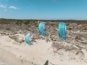 REEDIN WHISPERMODEL 2026