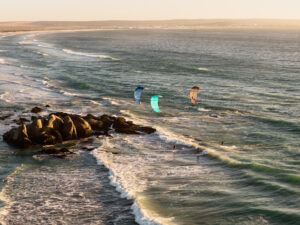 REEDIN SUPERMODEL A.F.T. 2026