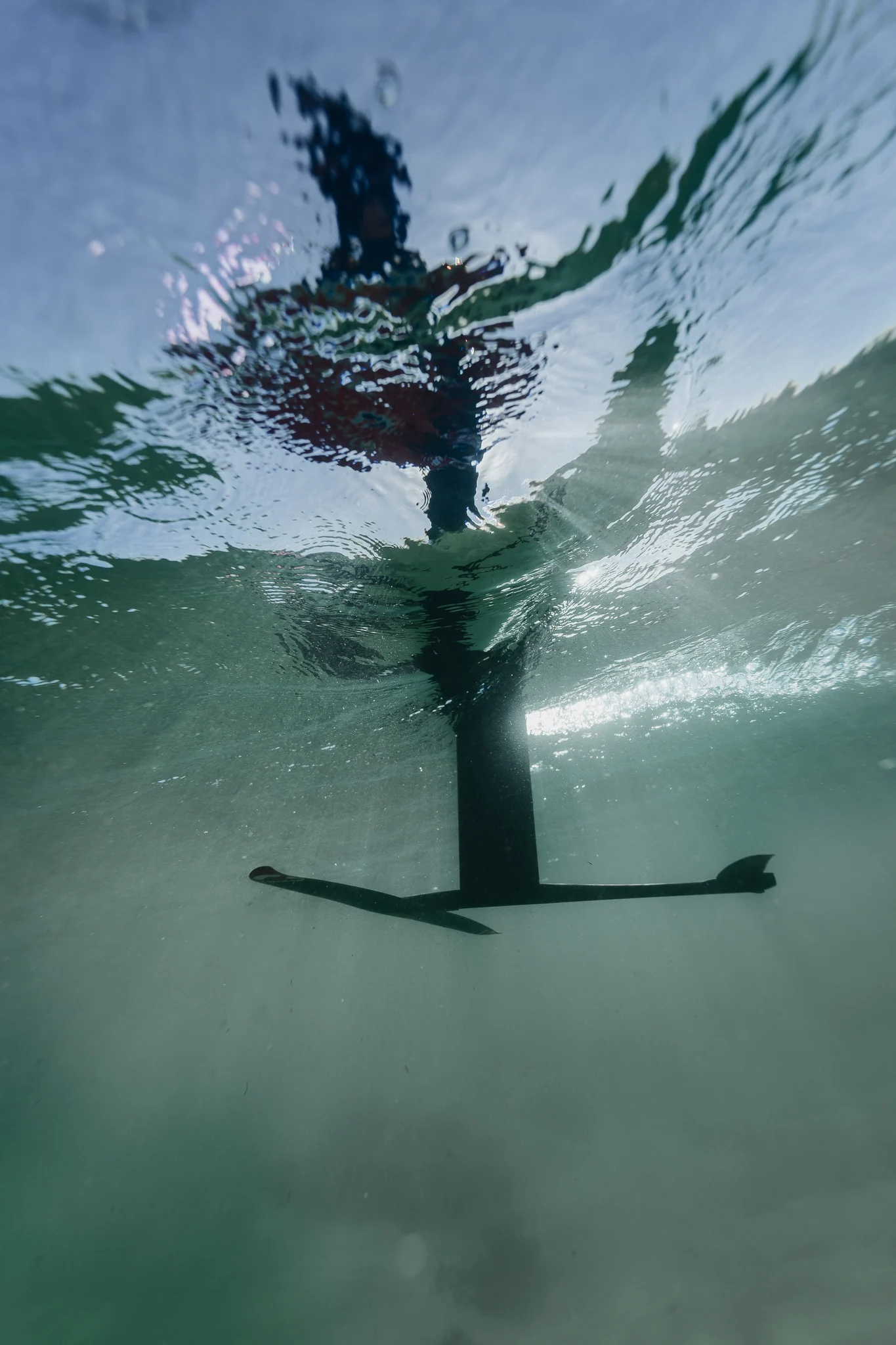 Reedin foil tegevuses